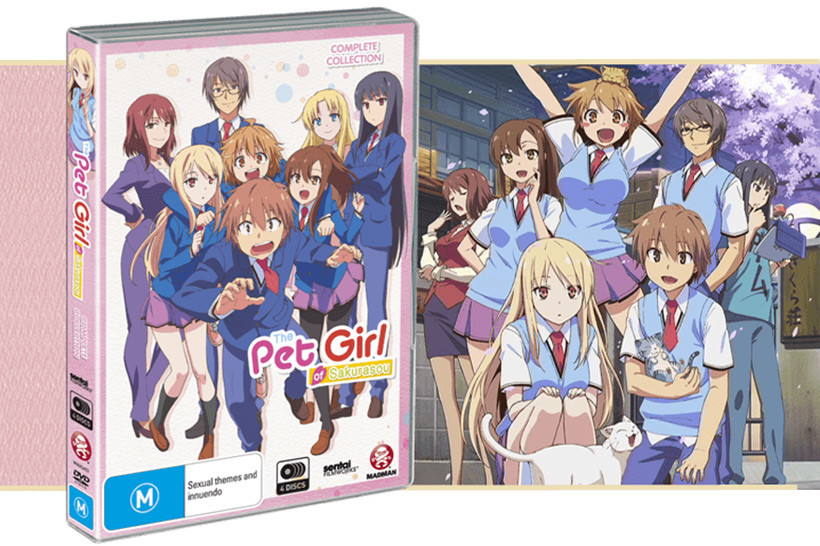 Review: The Pet Girl of Sakurasou Complete Collection (DVD)