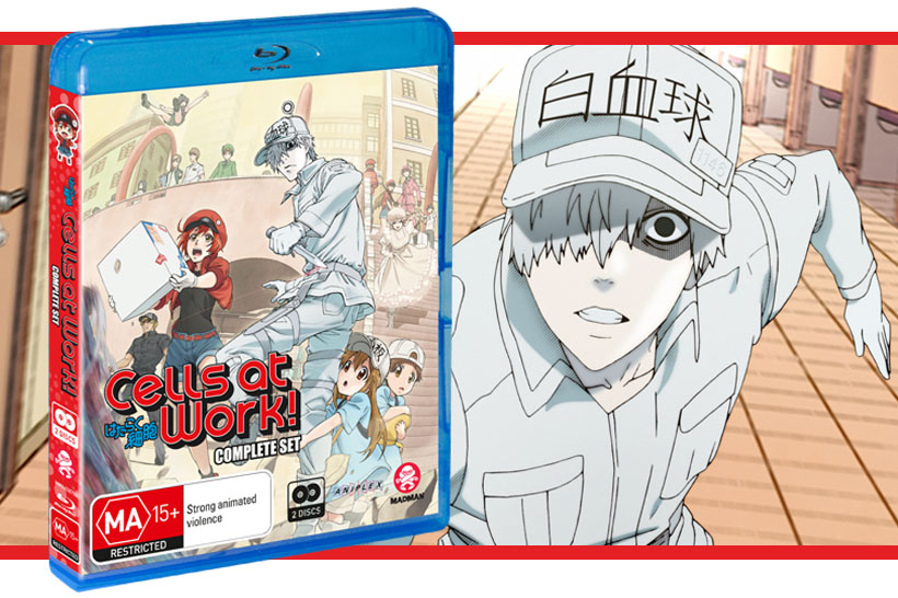 Cells at Work! Blu-ray